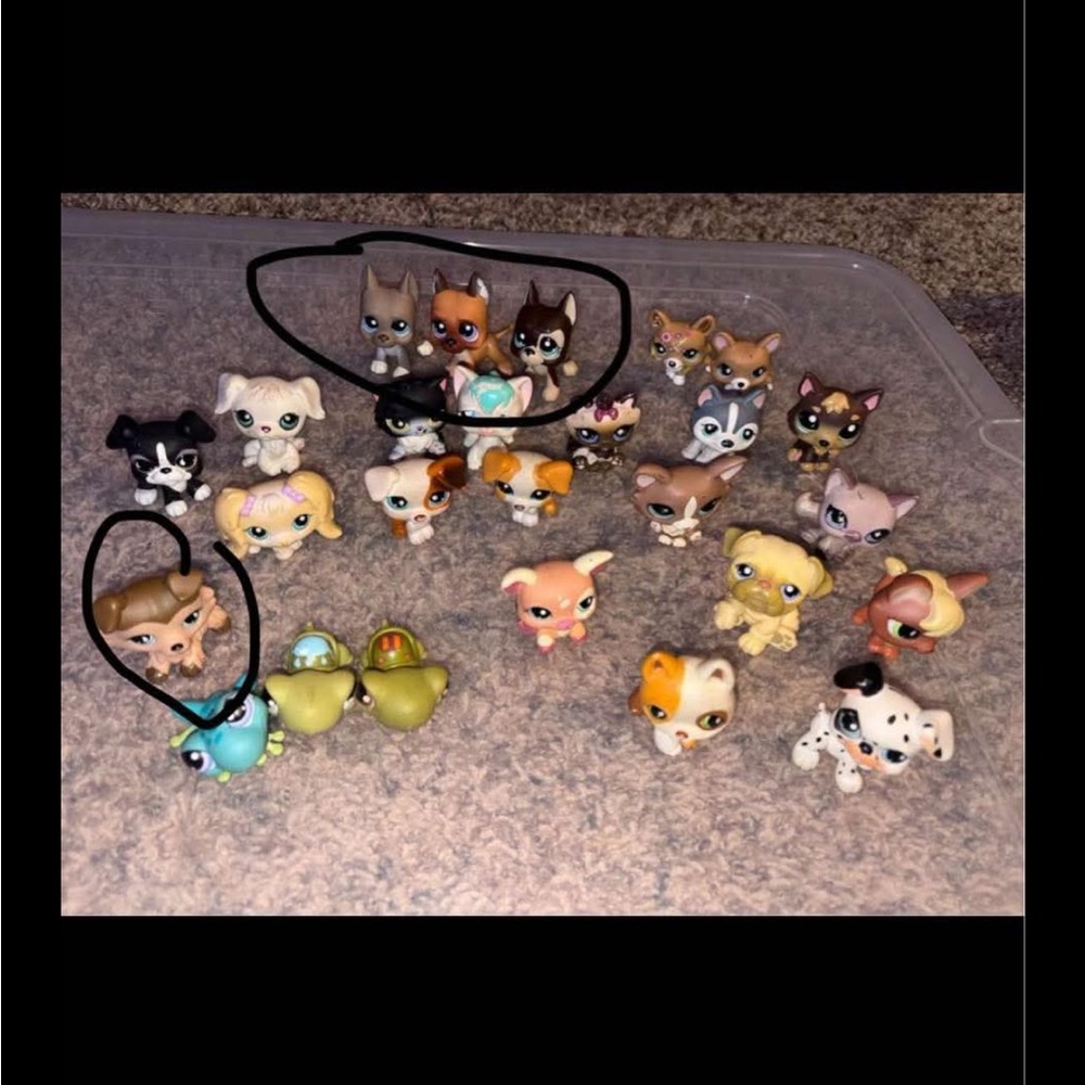 Littlest pet shops